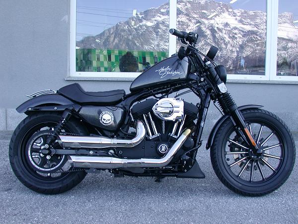 Harley Davidson Iron XL 883N 